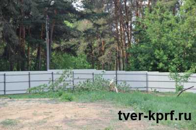 Тверская межрайонная природоохранная прокуратура запретила строительство многоэтажек на территории Бобачёвской рощи