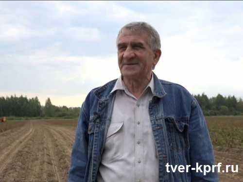 Атака на «Красный льновод»: успешно работающий колхоз в Бежецком районе обложили огромными штрафами