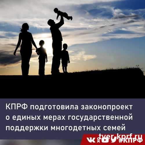 КПРФ подготовила законопроект о единых мерах государственной поддержки многодетных семей