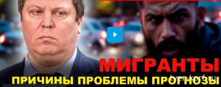 Михаил Матвеев "Свободной прессе": Нашу безопасность обеспечит визовый режим для мигрантов и их сокращение в сотни раз