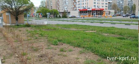 Кривой газон за 120 миллионов. Фотофакт из Удомли