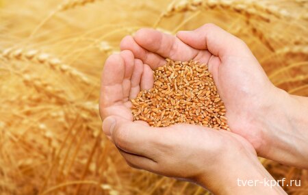 Геннадий Зюганов: Продукты станут дешевле на треть, если отрегулировать цены на зерно